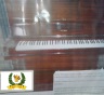pianoforte miniatura